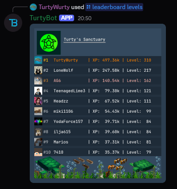 Levelling - image 2